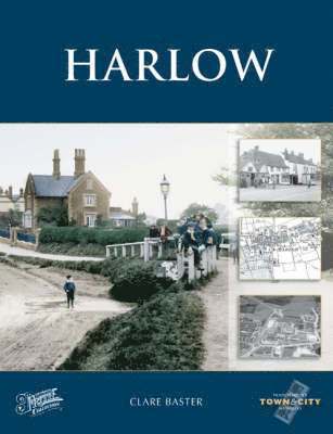 Harlow 1