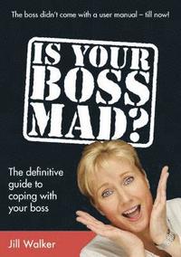 bokomslag Is Your Boss Mad?
