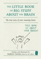 bokomslag The Little Book of Big Stuff about the Brain