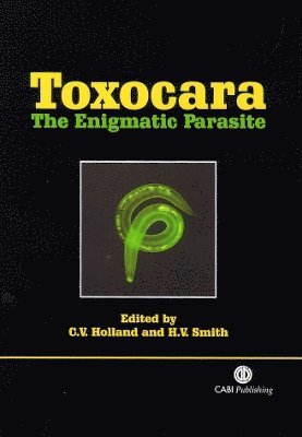 Toxocara 1