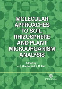 bokomslag Molecular Approaches to Soil, Rhizosphere and Plant Microorganism Analysis