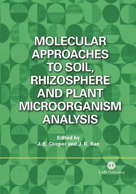 bokomslag Molecular Approaches to Soil, Rhizosphere and Plant Microorganism Analysis