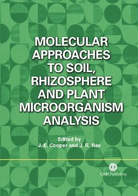 Molecular Approaches to Soil, Rhizosphere and Plant Microorganism Analysis 1