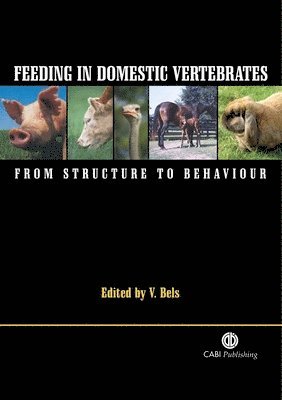Vincent Bels - Feeding in Domestic Vertebrates, Inbunden