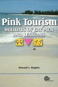 bokomslag Pink Tourism