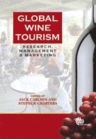 bokomslag Global Wine Tourism