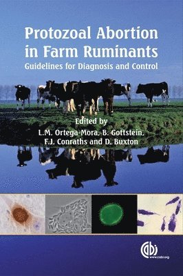 Luis Ortega-Mora, Bruno Gottstein, Franz Conraths, David Buxton, Luis Ortega-Mora, Bruno Gottstein, Franz Conraths, David Buxton - Protozoal Abortion in Farm Ruminants, Inbunden