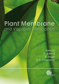 bokomslag Plant Membrane and Vacuolar Transporters