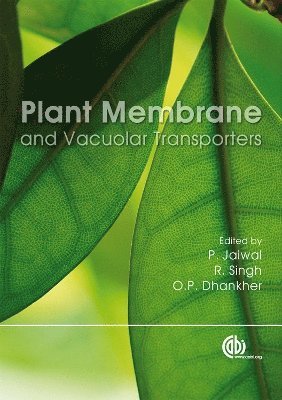 Plant Membrane and Vacuolar Transporters 1