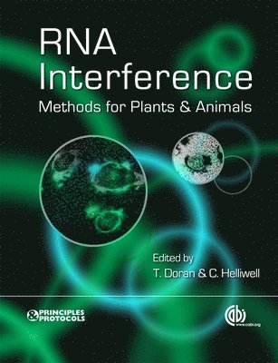 bokomslag RNA Interference