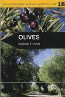 bokomslag Olives