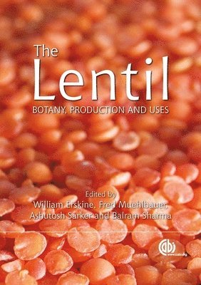 bokomslag Lentil