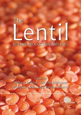 Lentil 1