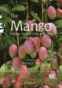 bokomslag Mango