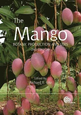 Mango 1