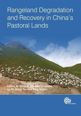 Victor Squires, Xinshi Lu, Qi Lu, Tao Wang, Youlin Yang - Rangeland Degradation and Recovery in China's Pastoral Lands, Inbunden