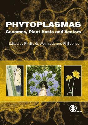 Phytoplasmas 1