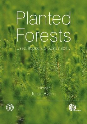 bokomslag Planted Forests