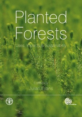 Julian Evans - Planted Forests, Inbunden