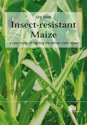 bokomslag Insect-resistant Maize