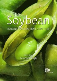 bokomslag Soybean