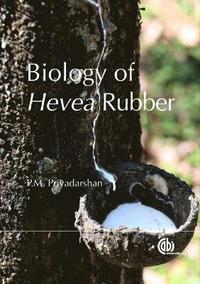 bokomslag Biology of Hevea Rubber