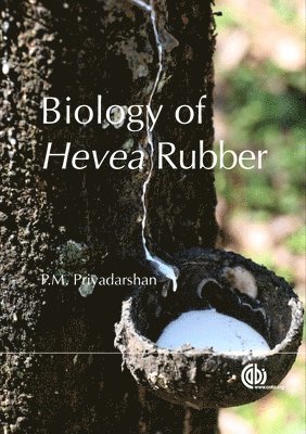 P. M. Priyadarshan - Biology of Hevea Rubber, Inbunden