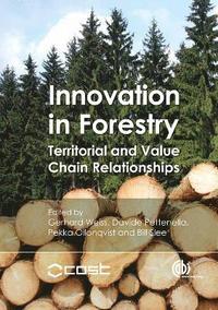bokomslag Innovation in Forestry