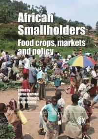 bokomslag African Smallholders