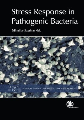 bokomslag Stress Response in Pathogenic Bacteria
