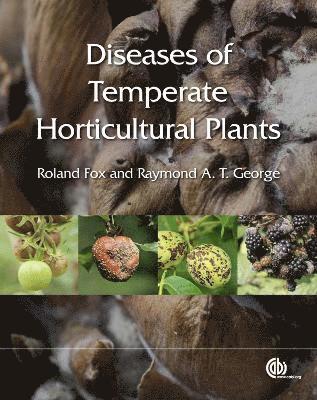 bokomslag Diseases of Temperate Horticultural Plants