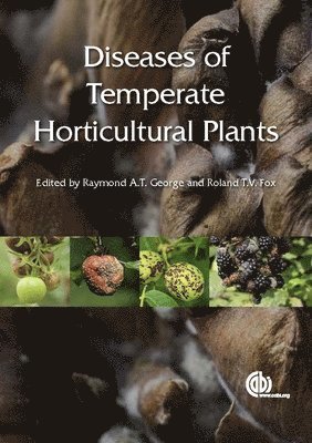 bokomslag Diseases of Temperate Horticultural Plants