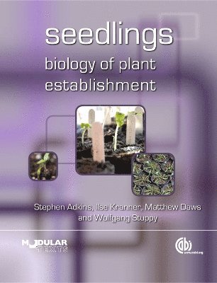 Seedlings 1