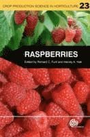 Raspberries 1