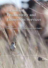 bokomslag Grassland Productivity and Ecosystem Services