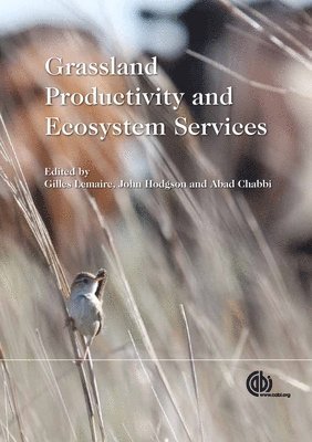 Gilles Lemaire, John Hodgson, Abad Chabbi - Grassland Productivity and Ecosystem Services, Inbunden