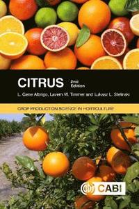 bokomslag Citrus