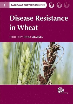 bokomslag Disease Resistance in Wheat