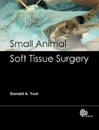 bokomslag Small Animal Soft Tissue Surgery