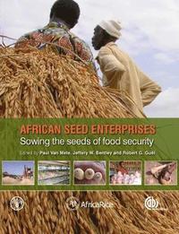 bokomslag African Seed Enterprises