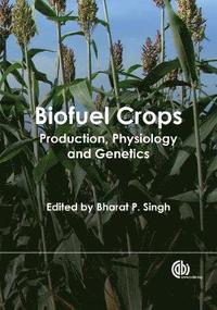 bokomslag Biofuel Crops