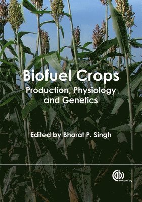 bokomslag Biofuel Crops