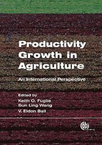 bokomslag Productivity Growth in Agriculture