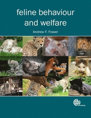 Andrew Fraser - Feline Behaviour and Welfare, Inbunden