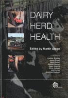 bokomslag Dairy Herd Health