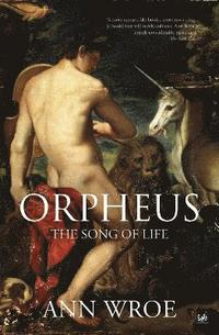 bokomslag Orpheus