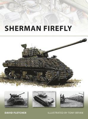 bokomslag Sherman Firefly