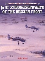 bokomslag Junkers Ju 87 Stukageschwader of the Russian Front