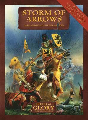 bokomslag Storm of Arrows