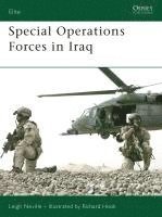 bokomslag Special Operations Forces in Iraq